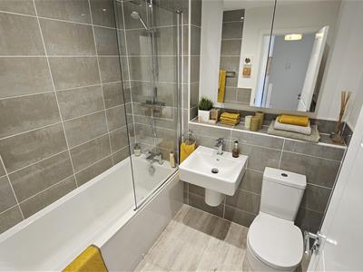Picture 23